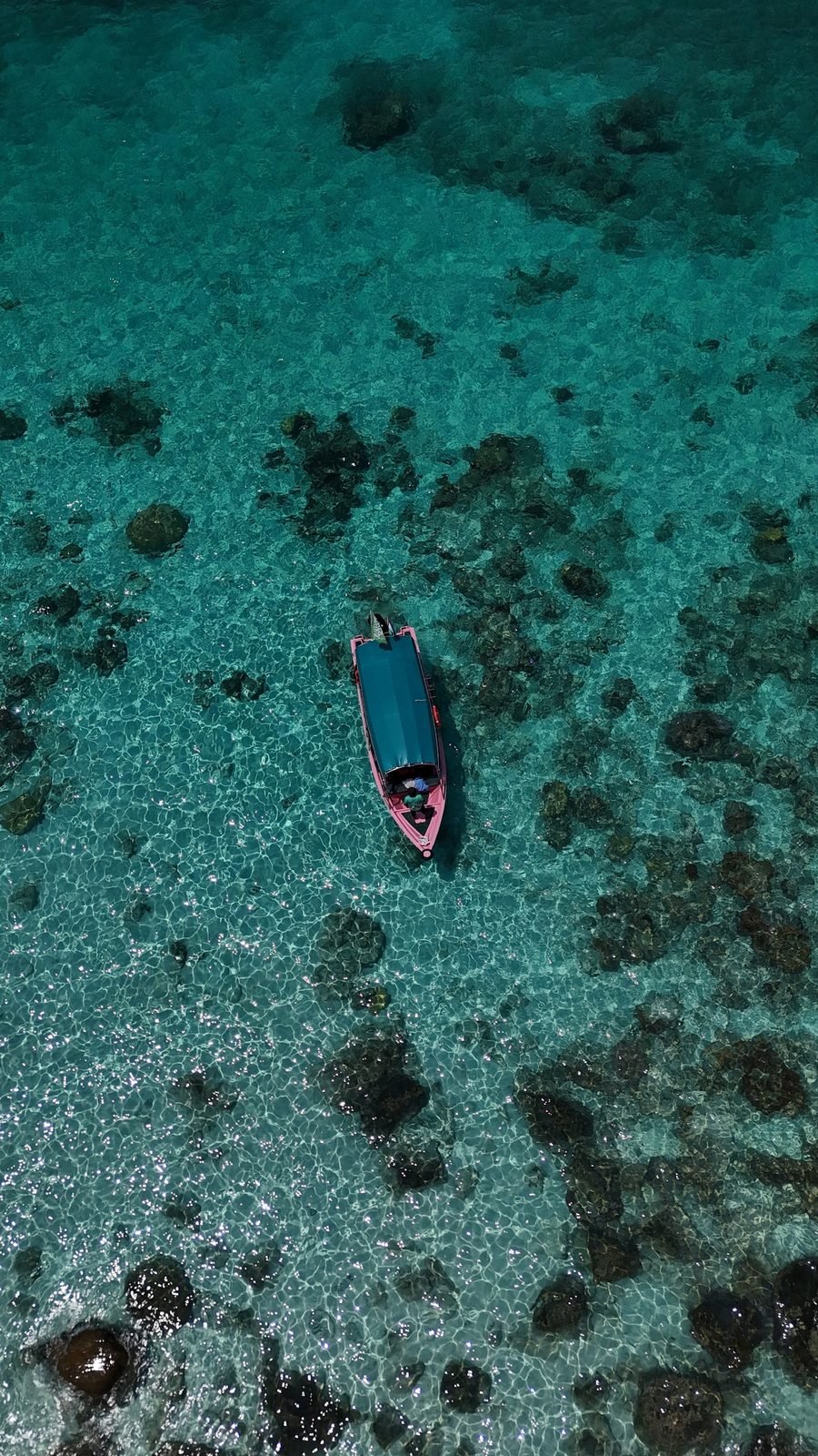 Excursion à Redang